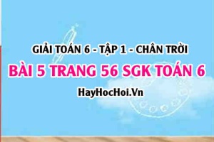Giải bài 5 trang 56 Toán 6 Tập 1 SGK Chân trời sáng tạo